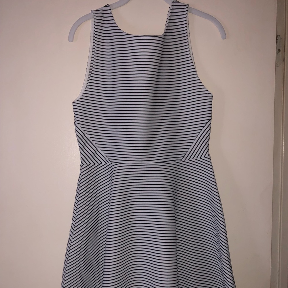 Striped Skater Dress